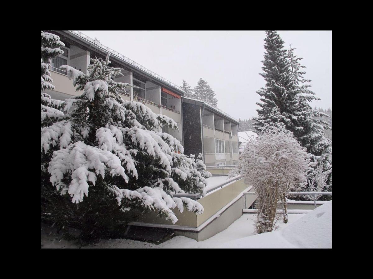 Goldener Hirsch Apartment Braunlage Exterior photo